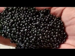 Jalur Produksi Pupuk Organik