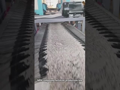 Garis produksi pupuk senyawa granulator rol ganda