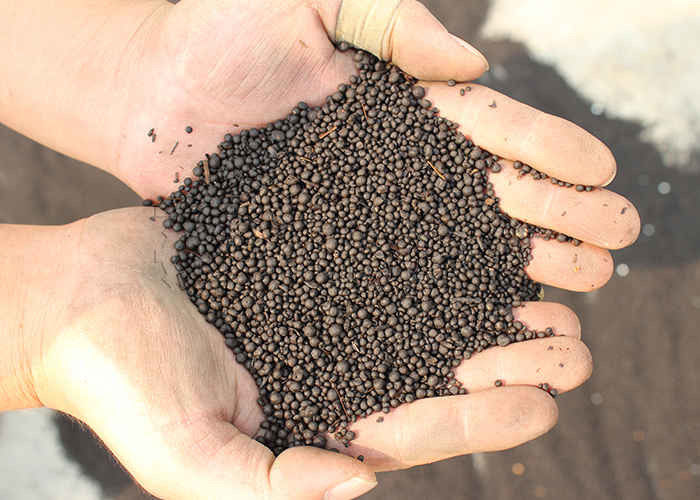 Jalur produksi mesin pembuatan pelet pupuk hijau jalur produksi granulator pupuk hewan