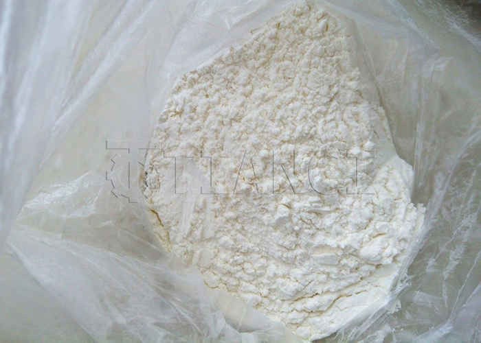 Mesin Granulator Litter Kucing Bentonit Kualitas Tinggi, Granulator Cakram untuk Lini Produksi Litter Kucing