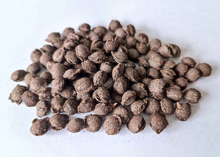 1-5T/H Garis Produksi Granulator Ekstrusi Rol Tipe Kering untuk Pupuk Kimia