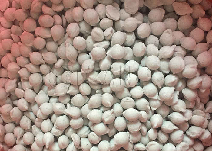 Lini Produksi Pupuk Majemuk Granulator Ekstrusi Roller Ganda Efisiensi Tinggi untuk Bubuk Kimia NPK